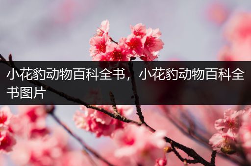 小花豹动物百科全书，小花豹动物百科全书图片