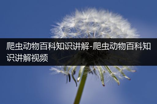 爬虫动物百科知识讲解-爬虫动物百科知识讲解视频