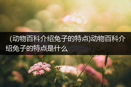 （动物百科介绍兔子的特点)动物百科介绍兔子的特点是什么