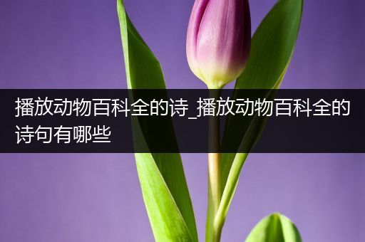 播放动物百科全的诗_播放动物百科全的诗句有哪些