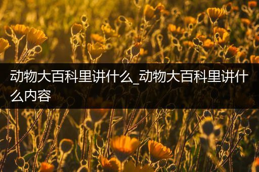 动物大百科里讲什么_动物大百科里讲什么内容