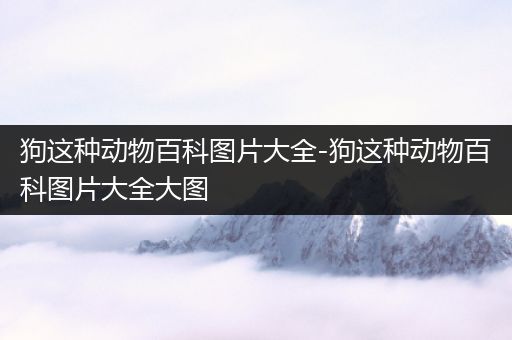 狗这种动物百科图片大全-狗这种动物百科图片大全大图