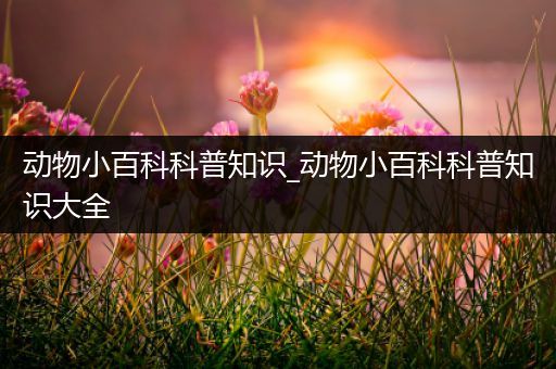 动物小百科科普知识_动物小百科科普知识大全