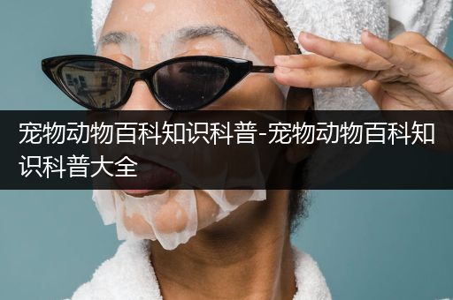 宠物动物百科知识科普-宠物动物百科知识科普大全