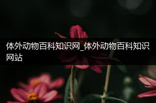 体外动物百科知识网_体外动物百科知识网站