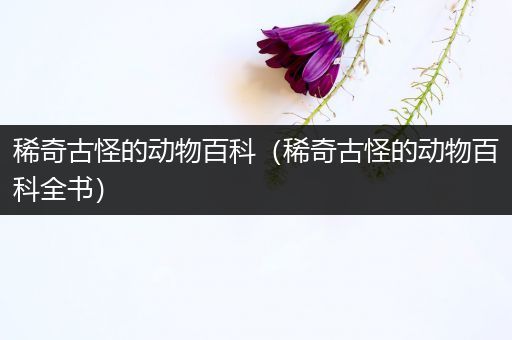 稀奇古怪的动物百科（稀奇古怪的动物百科全书）