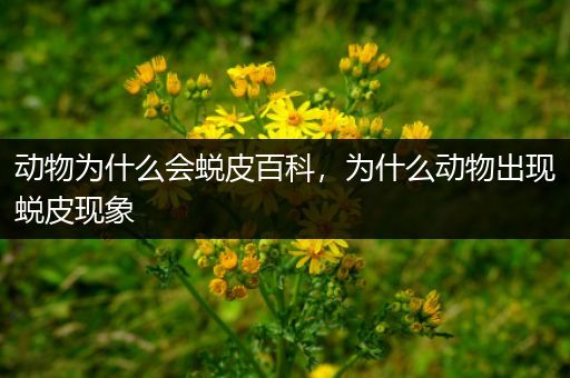 动物为什么会蜕皮百科，为什么动物出现蜕皮现象