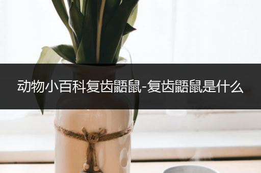 动物小百科复齿鼯鼠-复齿鼯鼠是什么