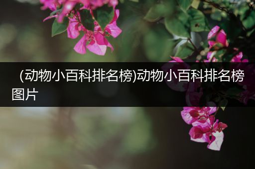（动物小百科排名榜)动物小百科排名榜图片