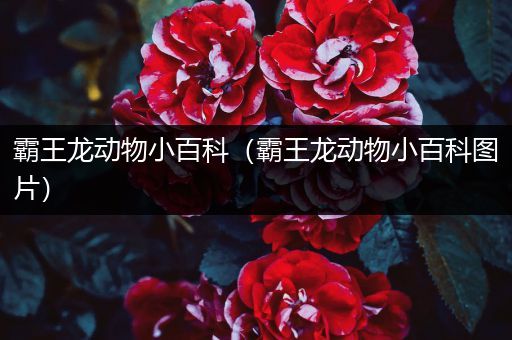 霸王龙动物小百科（霸王龙动物小百科图片）