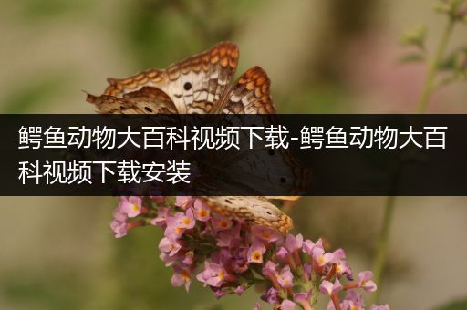 鳄鱼动物大百科视频下载-鳄鱼动物大百科视频下载安装