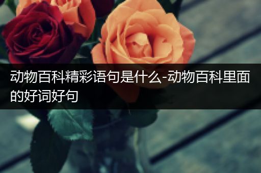 动物百科精彩语句是什么-动物百科里面的好词好句