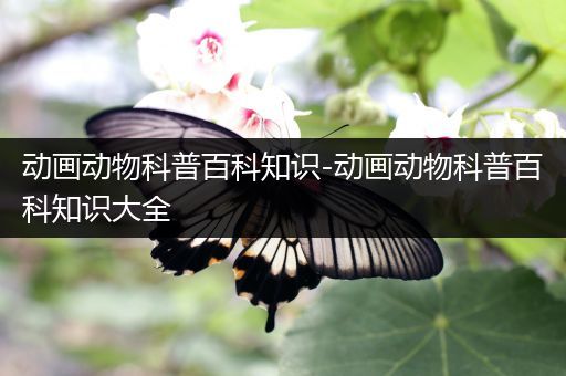 动画动物科普百科知识-动画动物科普百科知识大全