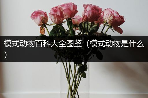 模式动物百科大全图鉴（模式动物是什么）