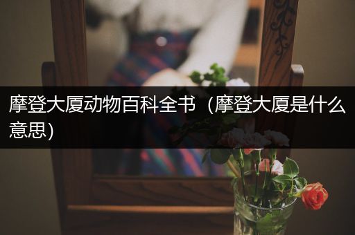 摩登大厦动物百科全书（摩登大厦是什么意思）