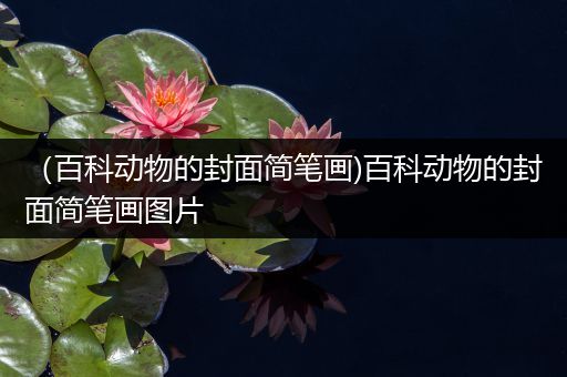 （百科动物的封面简笔画)百科动物的封面简笔画图片
