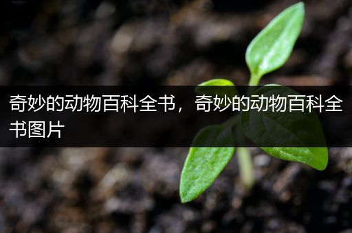 奇妙的动物百科全书，奇妙的动物百科全书图片