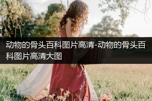 动物的骨头百科图片高清-动物的骨头百科图片高清大图