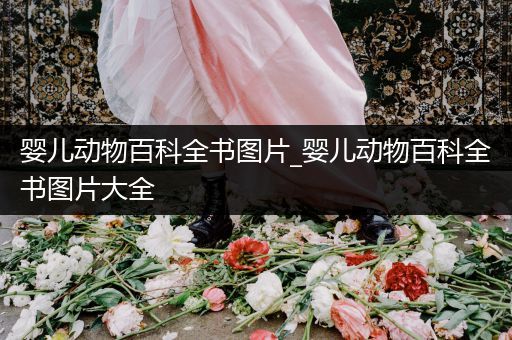 婴儿动物百科全书图片_婴儿动物百科全书图片大全