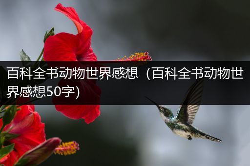 百科全书动物世界感想（百科全书动物世界感想50字）