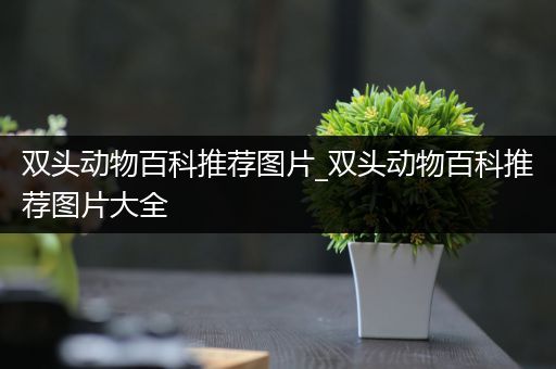 双头动物百科推荐图片_双头动物百科推荐图片大全