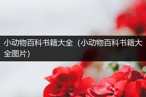 小动物百科书籍大全（小动物百科书籍大全图片）