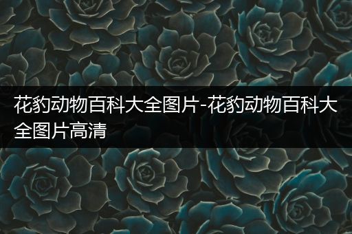 花豹动物百科大全图片-花豹动物百科大全图片高清