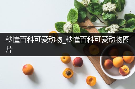 秒懂百科可爱动物_秒懂百科可爱动物图片