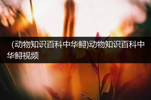 （动物知识百科中华鲟)动物知识百科中华鲟视频