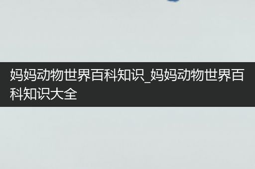 妈妈动物世界百科知识_妈妈动物世界百科知识大全