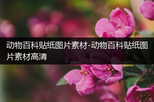 动物百科贴纸图片素材-动物百科贴纸图片素材高清