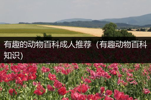 有趣的动物百科成人推荐（有趣动物百科知识）