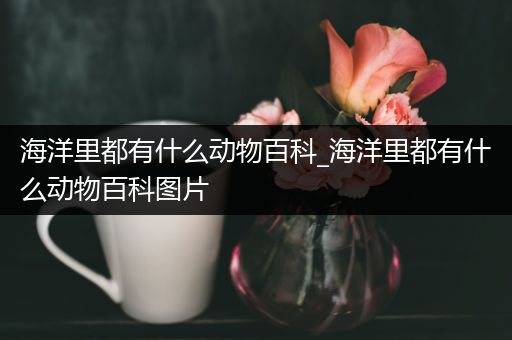 海洋里都有什么动物百科_海洋里都有什么动物百科图片