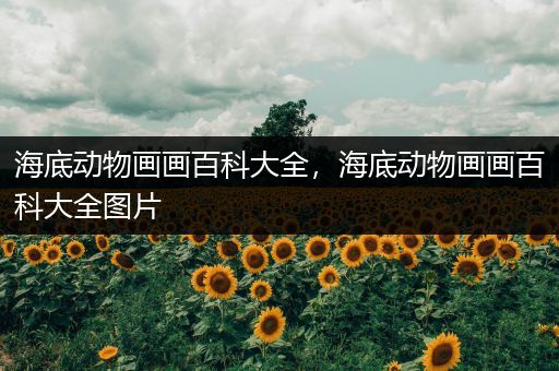 海底动物画画百科大全，海底动物画画百科大全图片