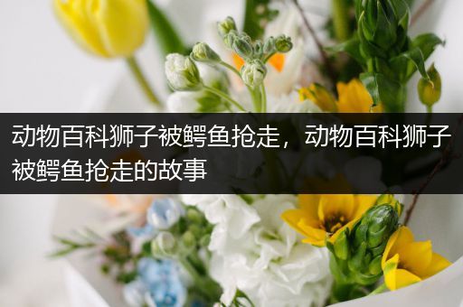 动物百科狮子被鳄鱼抢走，动物百科狮子被鳄鱼抢走的故事