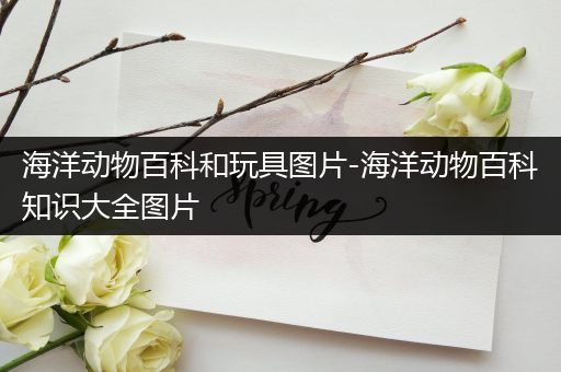 海洋动物百科和玩具图片-海洋动物百科知识大全图片