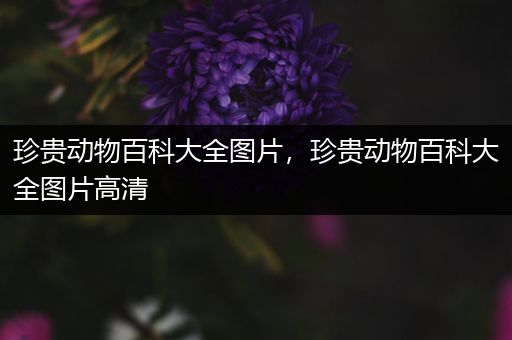 珍贵动物百科大全图片，珍贵动物百科大全图片高清