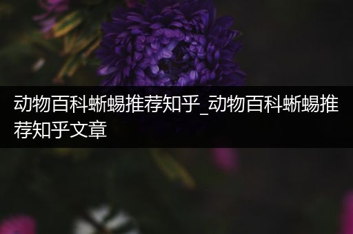 动物百科蜥蜴推荐知乎_动物百科蜥蜴推荐知乎文章