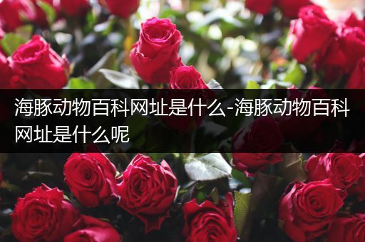 海豚动物百科网址是什么-海豚动物百科网址是什么呢