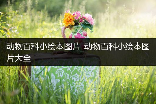 动物百科小绘本图片_动物百科小绘本图片大全