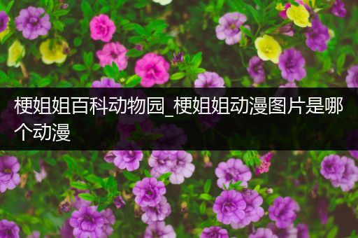 梗姐姐百科动物园_梗姐姐动漫图片是哪个动漫