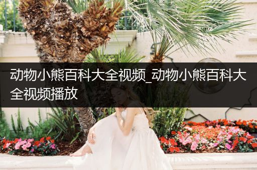 动物小熊百科大全视频_动物小熊百科大全视频播放