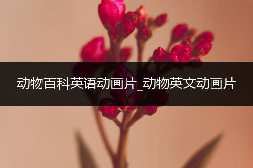 动物百科英语动画片_动物英文动画片