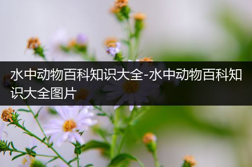 水中动物百科知识大全-水中动物百科知识大全图片