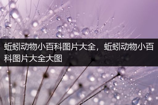 蚯蚓动物小百科图片大全，蚯蚓动物小百科图片大全大图