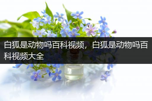 白狐是动物吗百科视频，白狐是动物吗百科视频大全