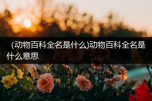 （动物百科全名是什么)动物百科全名是什么意思