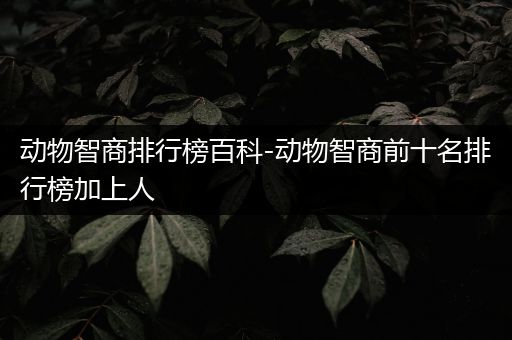 动物智商排行榜百科-动物智商前十名排行榜加上人