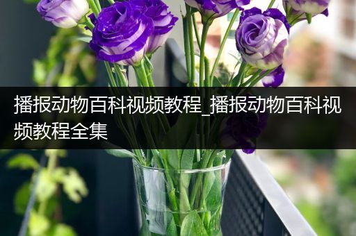 播报动物百科视频教程_播报动物百科视频教程全集