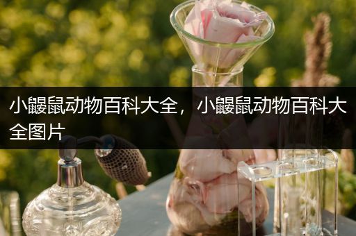 小鼹鼠动物百科大全，小鼹鼠动物百科大全图片